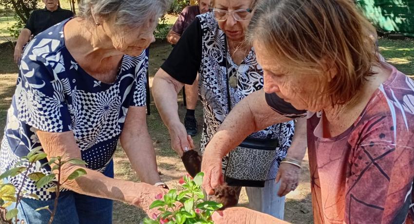 Taller de Huerta y Jardinería Con Daniela nuestra Psicóloga Social